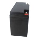 Landport Bleiakku 12V 50Ah AGM Batterie NSA LP12-55 T6
