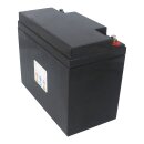 Landport Bleiakku 12V 50Ah AGM Batterie NSA LP12-55 T6