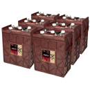 6x Traktionsbatterie Trojan J305P-AC 6V 330Ah Deep Cycle...