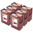 6x Trojan L16-AES 6V 355Ah Deep Cycle AGM Traktionsbatterie