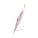 Panasonic Lithium CR2025 Knopfzelle 6er Blister