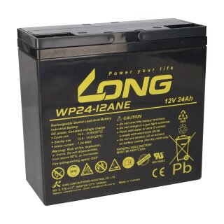 Kung Long WP24-12ANE 12V 24Ah AGM Bleibatterie