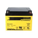 2x AGM Akku 12V 24Ah für Esser Honeywell IQ8Control...