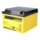 2x AGM Akku 12V 24Ah für Esser Honeywell IQ8Control M Brandmeldezentrale – SUN Battery VdS