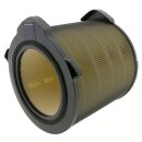 Pollenfilter BREATHE360 für AEG AX9 AX91-404DG