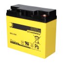 2x AGM Akku 12V 18Ah für ABB BZK20...