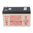 EnerSys DataSafe 12HX35-FR High-Rate AGM-Akku 12V 7,9Ah...