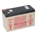 EnerSys DataSafe 12HX35-FR High-Rate AGM-Akku 12V 7,9Ah – Faston – Ausführung A/B prüfen