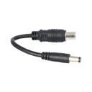 Kabeladapter Cinch auf DC2.1 – Kompatibel mit Phylion Wall-ES Ladegerät