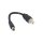 Kabeladapter Cinch auf DC2.1 – Kompatibel mit Phylion Wall-ES Ladegerät