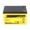 AGM Bleiakku 12V 13Ah zyklenfest High Cycle – T2...