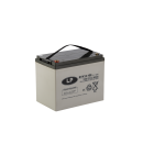 12V 100Ah AGM-GEL Batterie – VRLA, wartungsfrei, T6, 260x168x214 mm