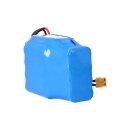 Ersatzakku 36V 6800mAh (244,8Wh) für E-Boards, Li-Ion 10S2P, XT60-Stecker, 21 cm Kabel – kompatibel mit Razor, Viron, Bluewheel, CityBlitz, Robway, Denver, Nextreme