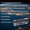 B-Ware Q-Batteries 12LS-2.1 12 V 2,1 Ah AGM Bleiakku VdS...