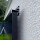 900 Wp Fassaden PV Set mit 2x 450 W Full Black Solarmodulen & waagerechtem Montagepaket mit 0% Mwst. nach §12 Abs. 3 UstG