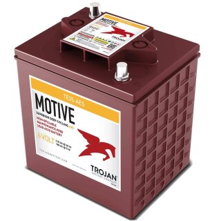 Trojan TE35-AES 6V 210Ah AGM Deep Cycle Batterie