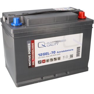 Q-Batteries 12SEM-60 12V 60Ah Semitraktionsbatterie