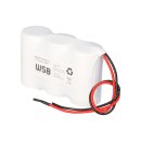 Notleuchtenakku 3,6V 4,0Ah NiCd Reihe – 20 cm Kabel – passend für F31NICD4000 / NICD4000