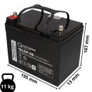 Q-Batteries 12LCP-36 12 V 36 Ah AGM Deep-Cycle-Akku