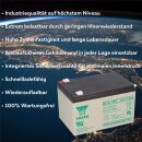 Yuasa RE12-12FR AGM-Bleiakku Standby & zyklisch 12V 12Ah flammhemmend – Faston F2 6,3 mm