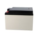 Yuasa NPL24-12I Longlife AGM-Bleiakku 12V 24Ah – M5-Innengewinde