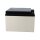 Yuasa NPL24-12I Longlife AGM-Bleiakku 12V 24Ah – M5-Innengewinde