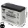 Yuasa REC10-12 zyklenfester AGM-Bleiakku 12V 10Ah – Faston F2 6,3 mm