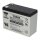 Yuasa REC10-12 zyklenfester AGM-Bleiakku 12V 10Ah – Faston F2 6,3 mm