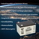 Yuasa REC14-12 zyklenfester AGM-Bleiakku 12V 14Ah – Faston F2 6,3 mm