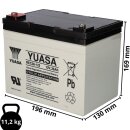 Yuasa Lead-acid battery rec36-12i Pb 12v / 36Ah cycle-proof, m5 internal thread