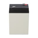 Yuasa NP4-6 AGM-Bleiakku 6V 4Ah – Faston F1 4,8 mm