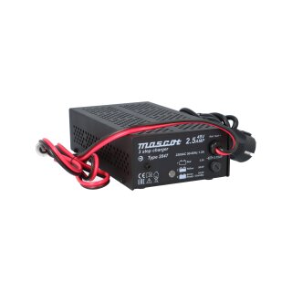 48V Ladegerät mit XLR-Stecker für E-Scooter