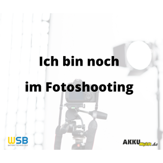 Ampstar 12,8V 300Ah LiFePO4 Akku mit Bluetooth-App und IP65