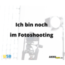 Ampstar 12,8V 300Ah LiFePO4 Akku mit Bluetooth-App und IP65