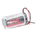 EVE ER34615/FL D‑Zelle 3,6 V Li‑SOCl2, 19.000 mAh –...