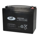 12 Volt AGM-GEL Batterie 55Ah mit T6 M6 Anschluss