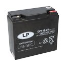 Landport EVX12-25 T12 AGM Akku 12V 25Ah | ersetzt 20Ah...