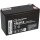 Q-Batteries 12LCP-9 12V 9Ah Blei Akku Zyklentyp AGM Deep Cycle VRLA