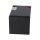 Q-Batteries 12LS-12 12 V 12 Ah AGM Bleiakku VdS G112004