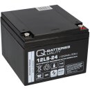 Q Batteries 12LS 24 12V 24Ah Blei Akku AGM