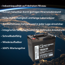 Q-Batteries 12ls-55 / 12v - 55Ah lead acid battery standard type agm vrla 10 year type