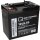 Q-Batteries 12LS-55 12V 55Ah Blei Akku Standard-Typ AGM VRLA 10 Jahres Typ