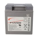 Exide Sprinter p12v600 12v 24Ah lead AGM battery with VdS