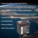 Q-Batteries 12LH-30W 12 V 5 Ah / 30 W AGM Hochstrom-USV-Akku