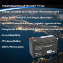 Ersatz-Akkusatz 2x 12V 8Ah für elektrischen...
