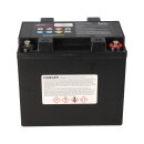 EnerSys Genesis 12EP42 / G42EP Reinblei-Akku 12V 42Ah...