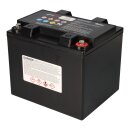 EnerSys Genesis 12EP42 / G42EP Reinblei-Akku 12V 42Ah – M6-Innengewinde