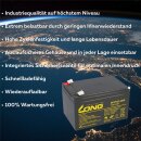 Kung Long WP12-12E 12V 12Ah AGM Bleiakku F2 6,3mm zyklenfest