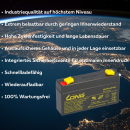agm lead battery 6v 1,2Ah compatible for usv lead gel + charger 6v