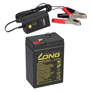 agm lead battery battery 6v 4,5Ah compatible for usv lead gel + charger